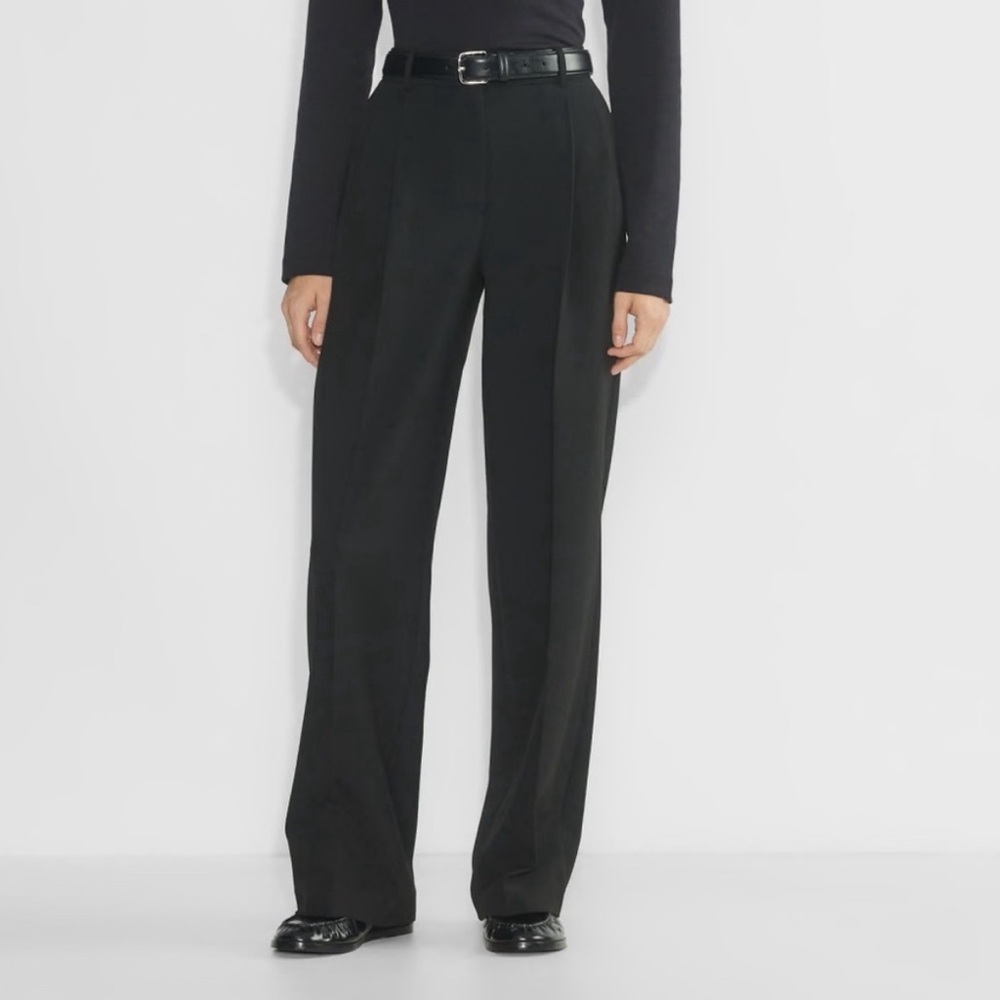 Aritzia Babaton Pleated Pants for Women